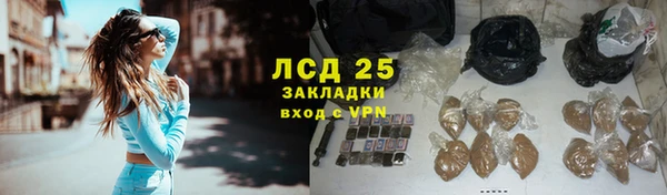 спиды Гусев