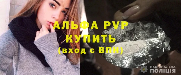 спиды Гусев
