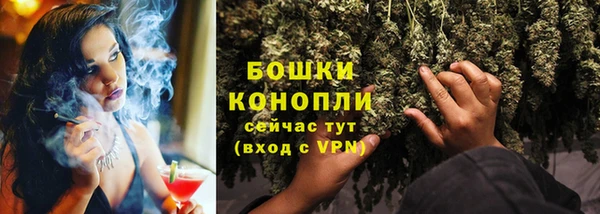 прущая мука Вяземский