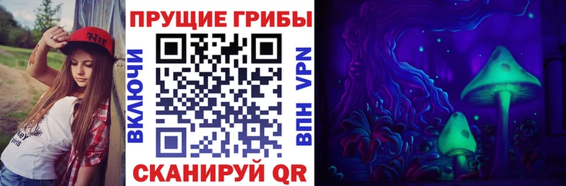 KRAKEN как войти  Заводоуковск  Псилоцибиновые грибы мухоморы 