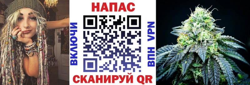наркота  Заводоуковск  Шишки марихуана Ganja 